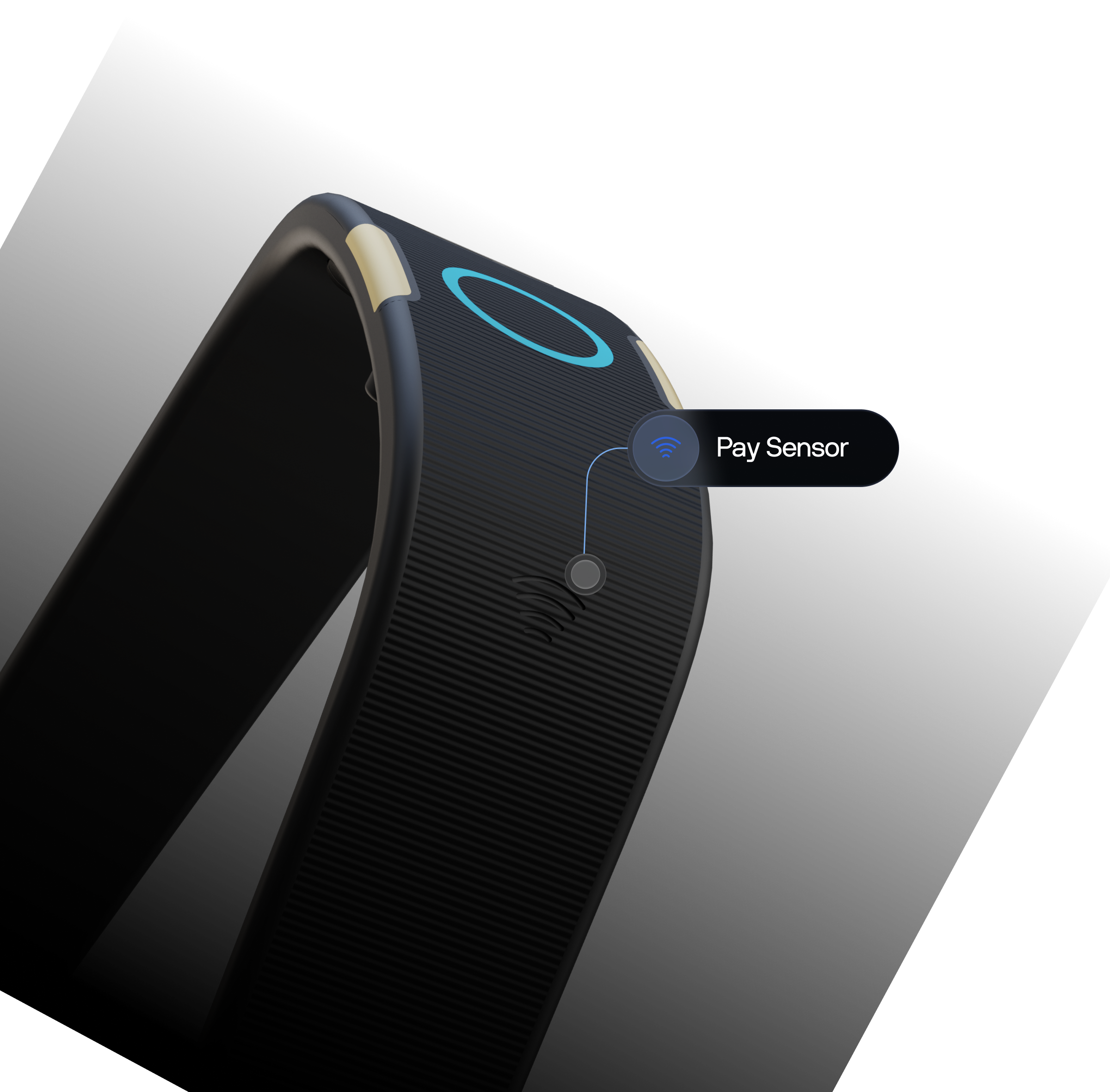 Payment sensor visualization