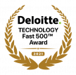 vyvo deloitte awards logo